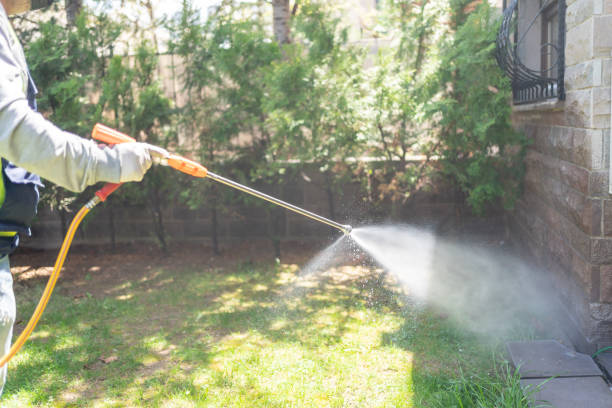 Insect Control in Piney, AR