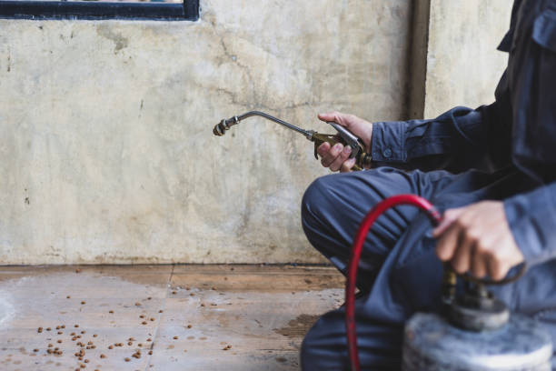 Best Pest Control Near Me  in Piney, AR